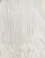 Odalys | Women's Feather Fringe Homecoming Dress