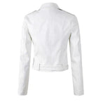 Ophelia | Women's Cropped Belted Biker Jacket in Faux Leather